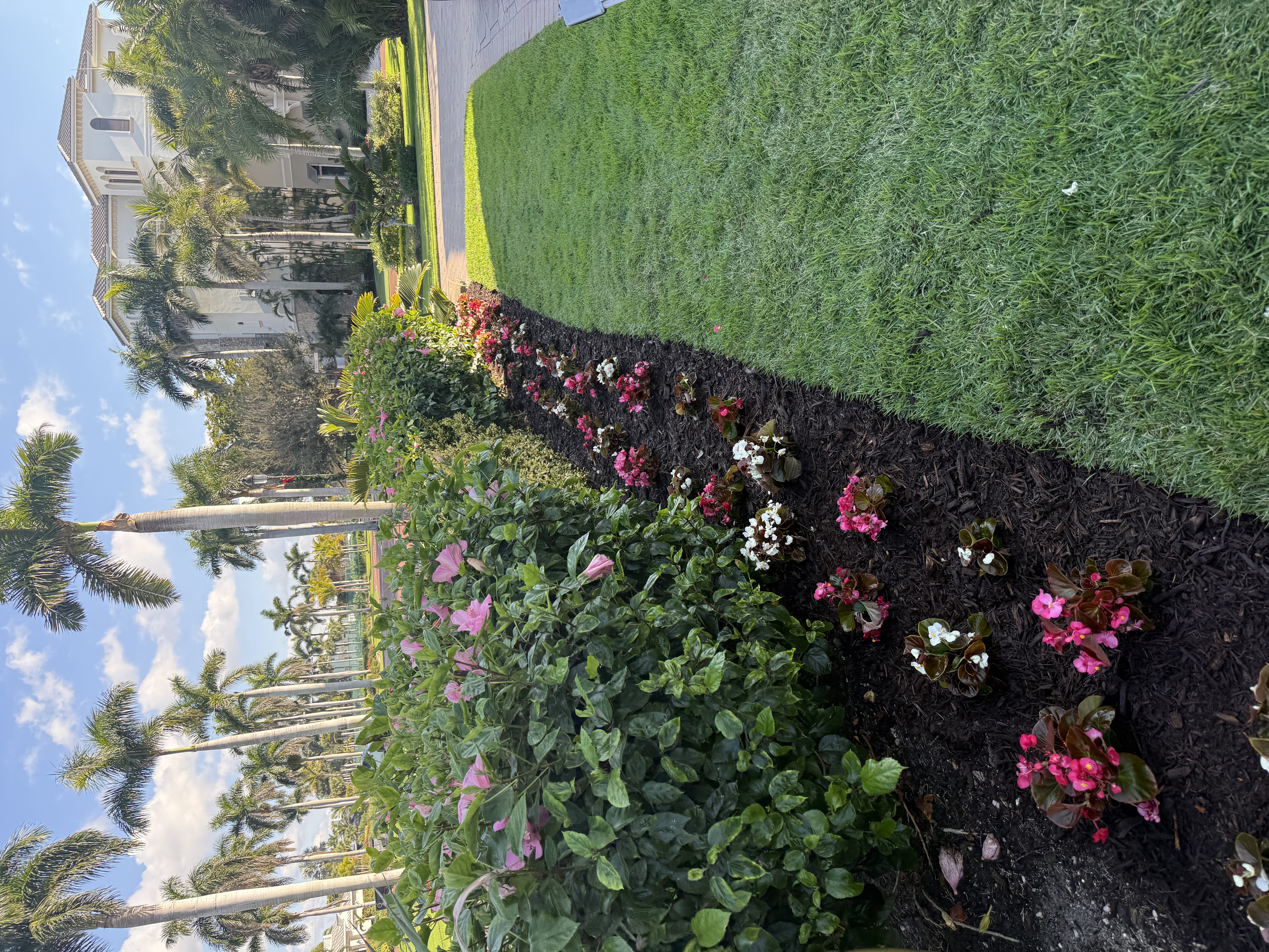 Landscape Installation